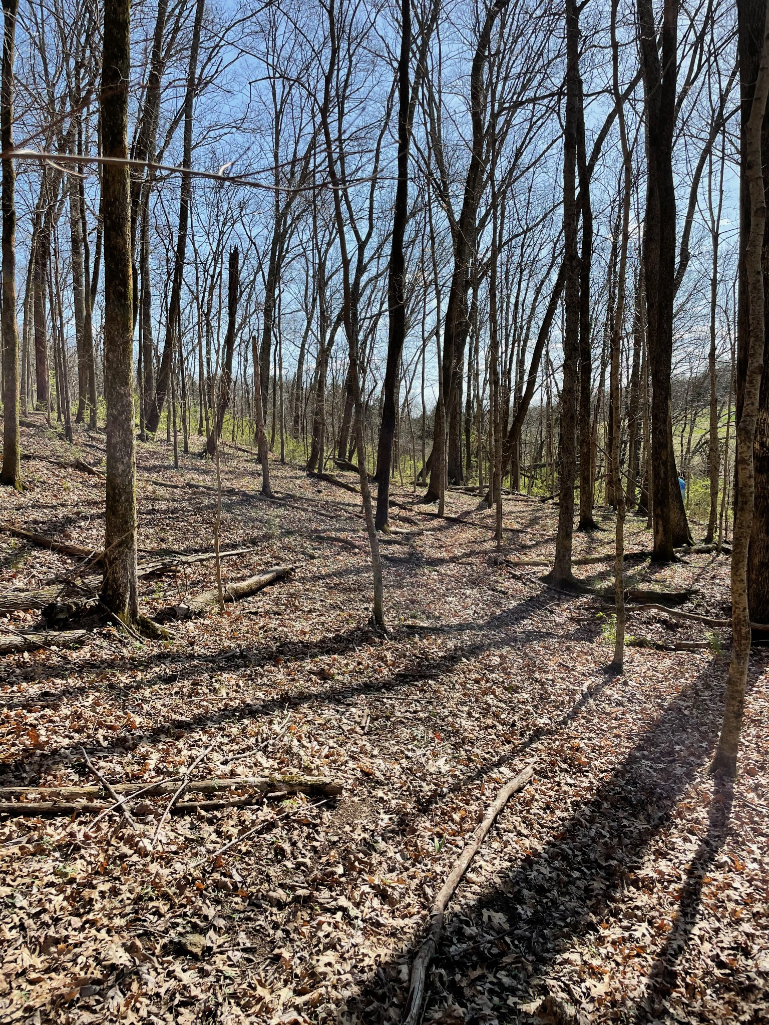 2057 Hillsboro Franklin TN 37069
