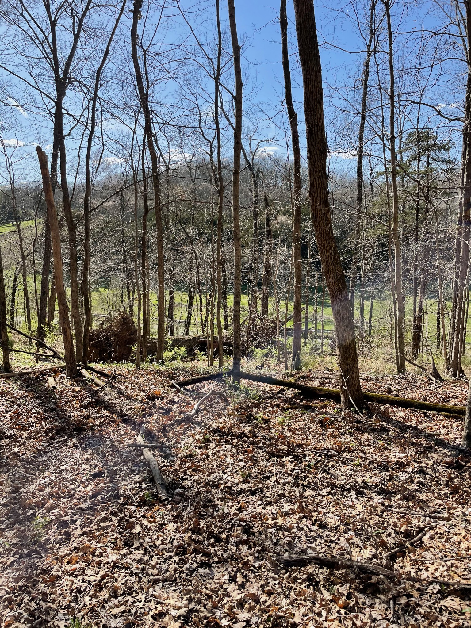 2057 Hillsboro Franklin TN 37069