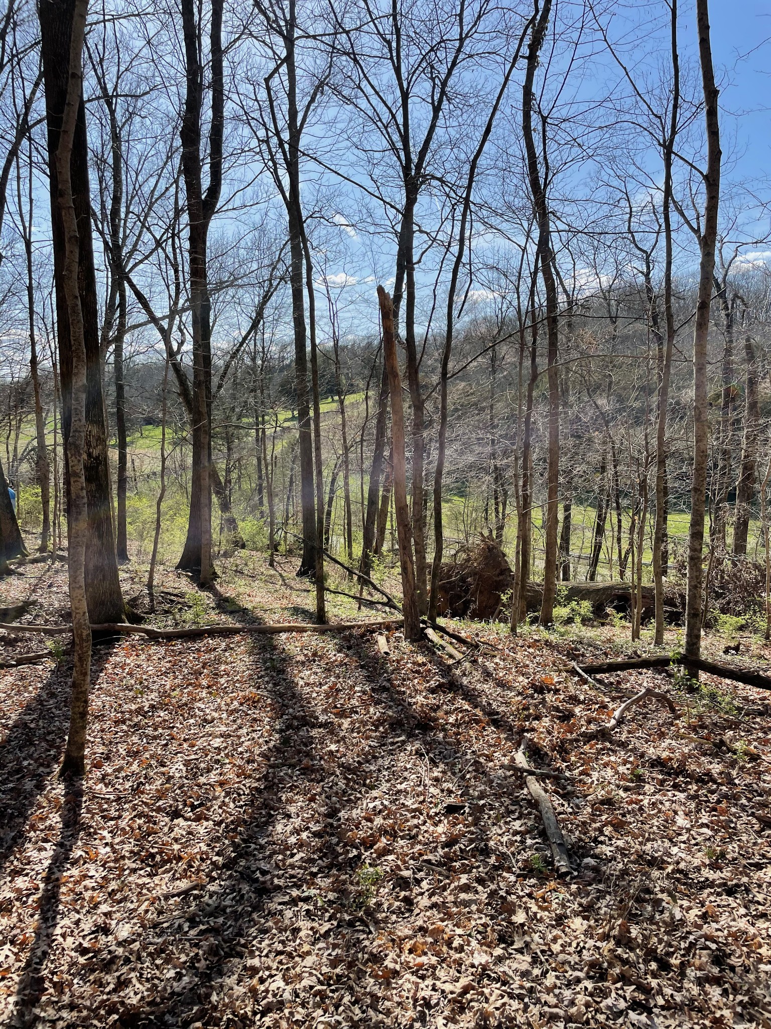 2057 Hillsboro Franklin TN 37069