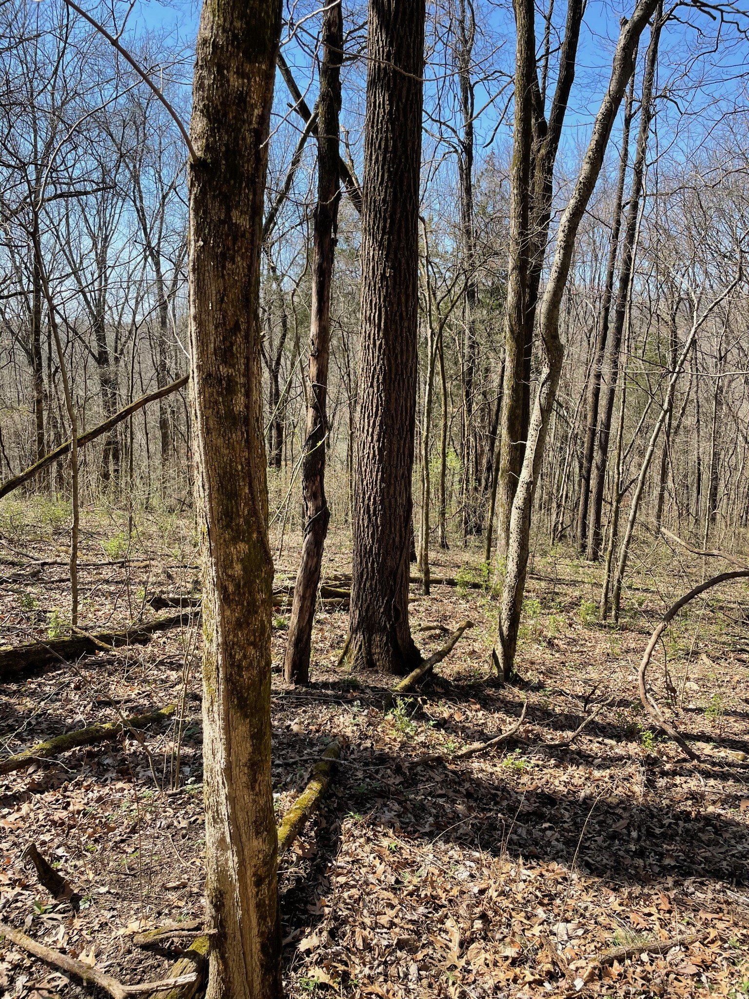 2057 Hillsboro Franklin TN 37069