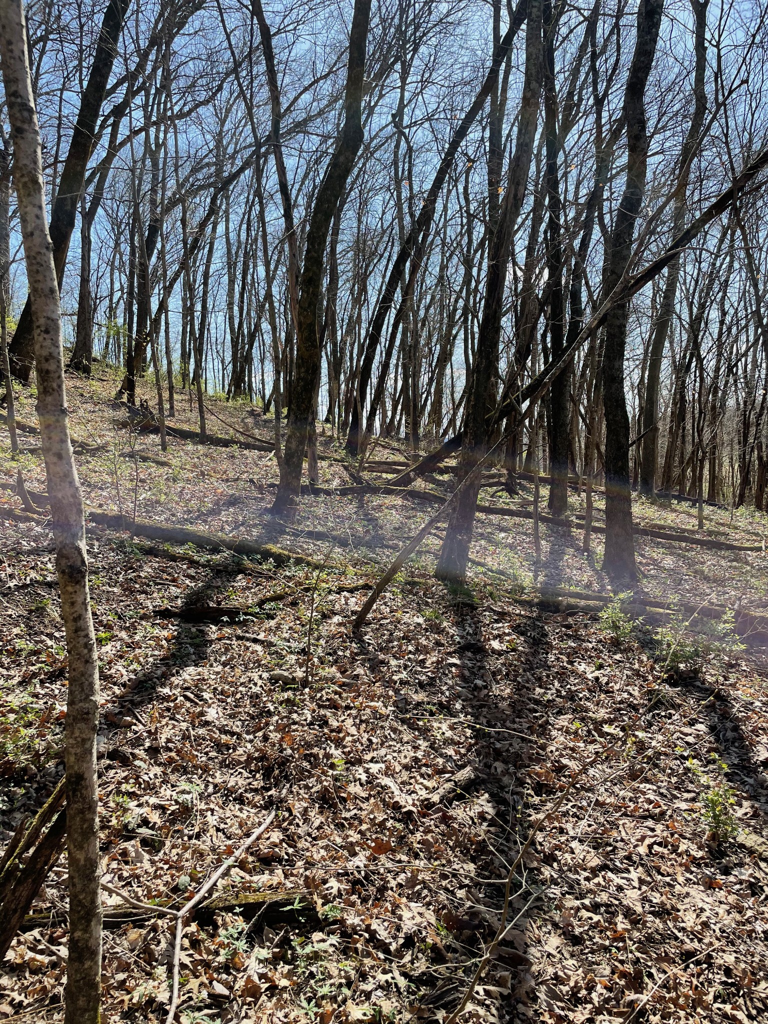 2057 Hillsboro Franklin TN 37069