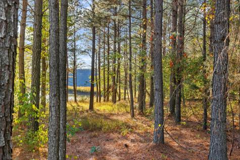 0 Raulston Falls Road Jasper TN 37347