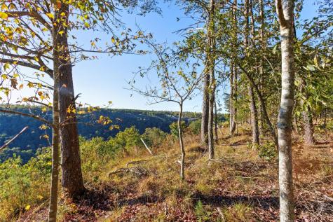 0 Raulston Falls Road Jasper TN 37347