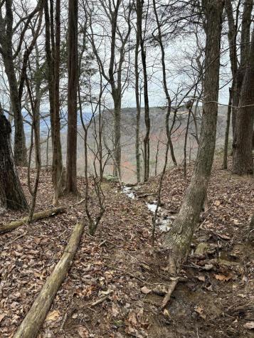 0 Raulston Falls Road Jasper TN 37347