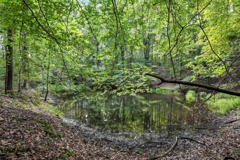 0 West Hollow Road Goodspring TN 38460