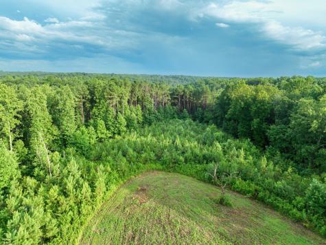 0 West Hollow Road Goodspring TN 38460