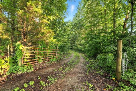 0 West Hollow Road Goodspring TN 38460