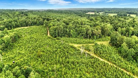 0 West Hollow Road Goodspring TN 38460