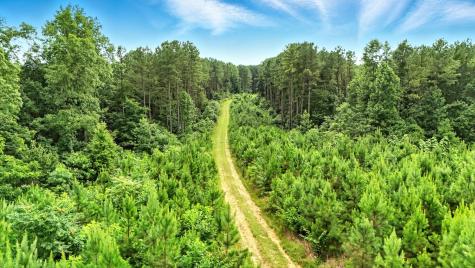 0 West Hollow Road Goodspring TN 38460