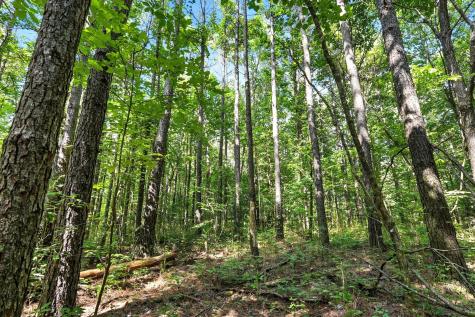 0 West Hollow Road Goodspring TN 38460