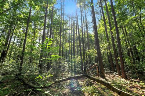 0 West Hollow Road Goodspring TN 38460
