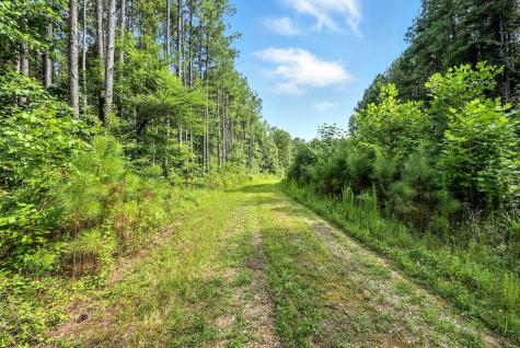0 West Hollow Road Goodspring TN 38460