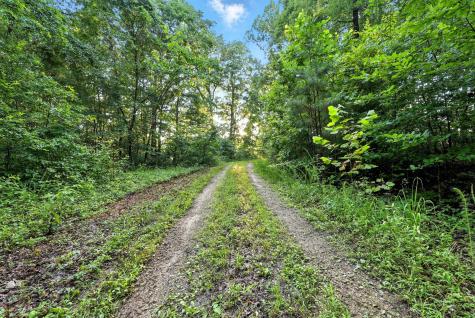 0 West Hollow Road Goodspring TN 38460