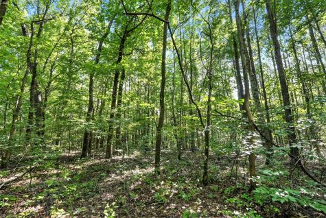 0 West Hollow Road Goodspring TN 38460