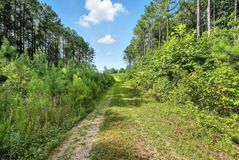 0 West Hollow Road Goodspring TN 38460