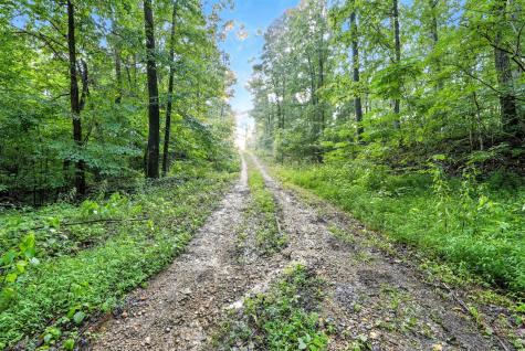 0 West Hollow Road Goodspring TN 38460