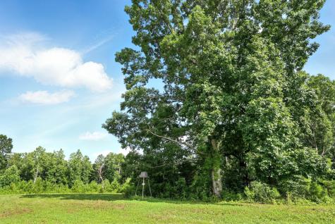 0 West Hollow Road Goodspring TN 38460