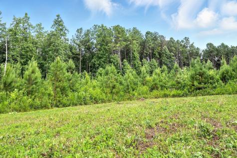 0 West Hollow Road Goodspring TN 38460