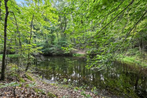 0 West Hollow Road Goodspring TN 38460