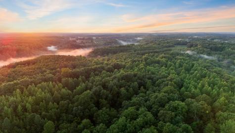 0 West Hollow Road Goodspring TN 38460