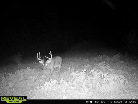 0 West Hollow Road Goodspring TN 38460