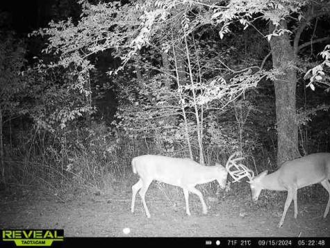 0 West Hollow Road Goodspring TN 38460