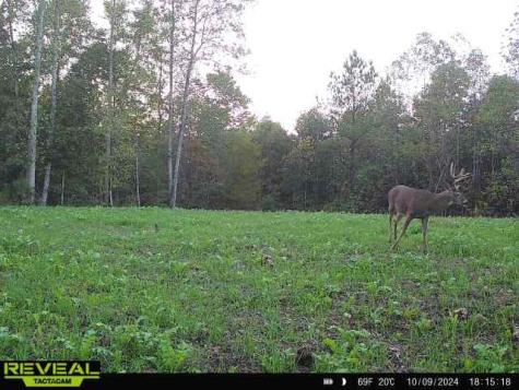 0 West Hollow Road Goodspring TN 38460