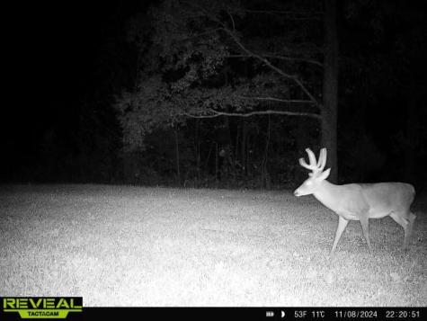 0 West Hollow Road Goodspring TN 38460