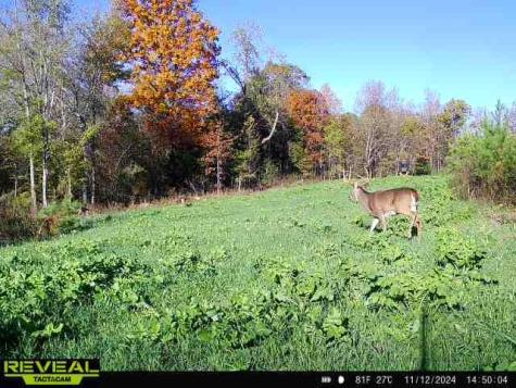 0 West Hollow Road Goodspring TN 38460