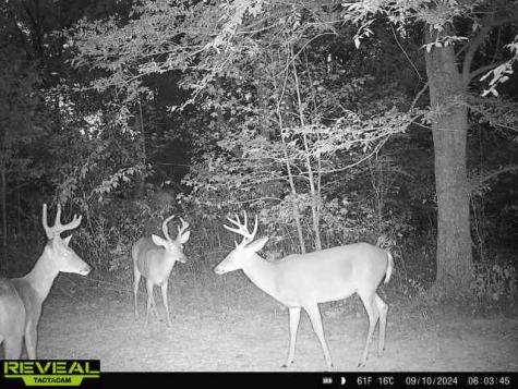 0 West Hollow Road Goodspring TN 38460