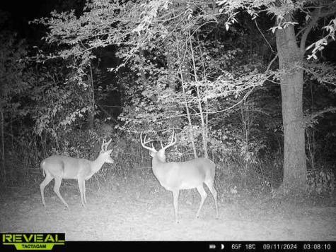 0 West Hollow Road Goodspring TN 38460