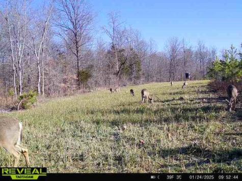 0 West Hollow Road Goodspring TN 38460