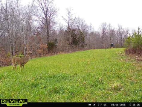 0 West Hollow Road Goodspring TN 38460