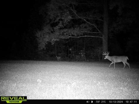 0 West Hollow Road Goodspring TN 38460
