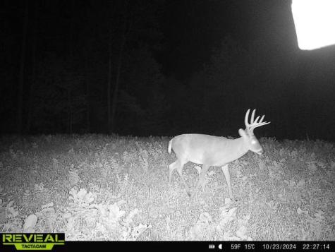 0 West Hollow Road Goodspring TN 38460