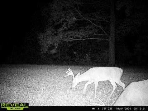 0 West Hollow Road Goodspring TN 38460