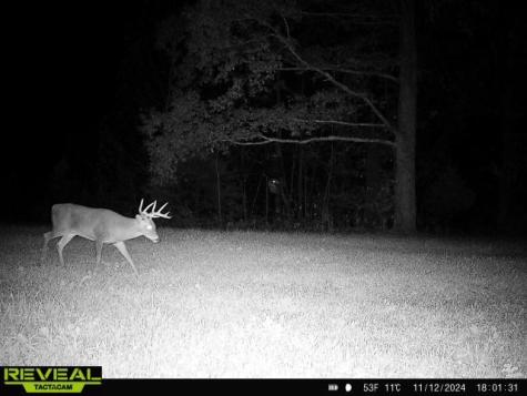 0 West Hollow Road Goodspring TN 38460