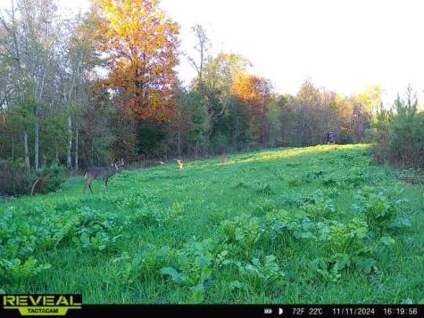 0 West Hollow Road Goodspring TN 38460