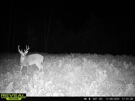 0 West Hollow Road Goodspring TN 38460