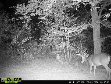 0 West Hollow Road Goodspring TN 38460