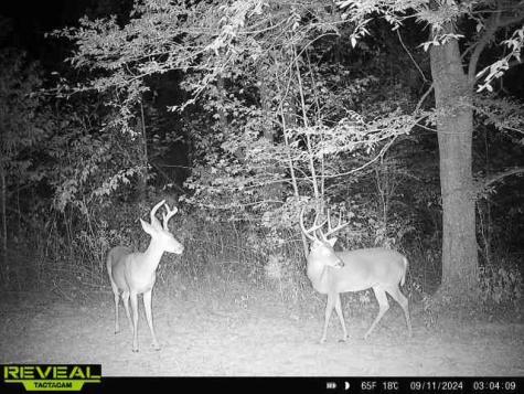0 West Hollow Road Goodspring TN 38460