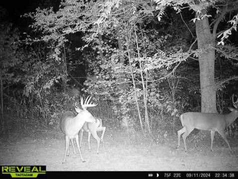 0 West Hollow Road Goodspring TN 38460