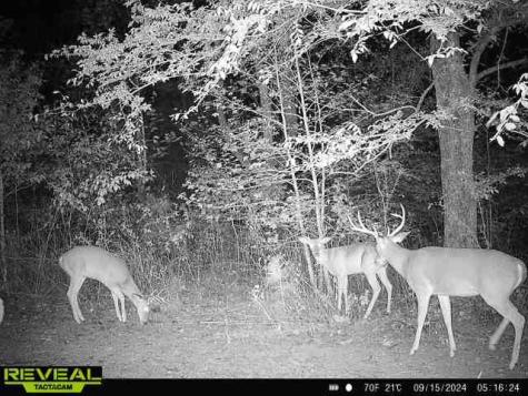 0 West Hollow Road Goodspring TN 38460