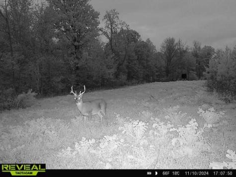 0 West Hollow Road Goodspring TN 38460