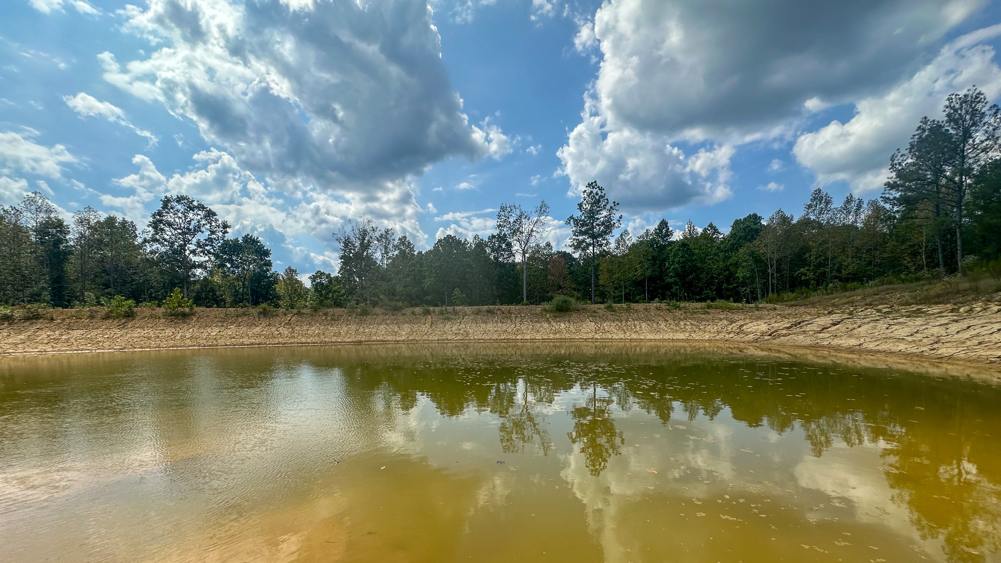 0 Jeannette Holladay Road Parsons TN 38363