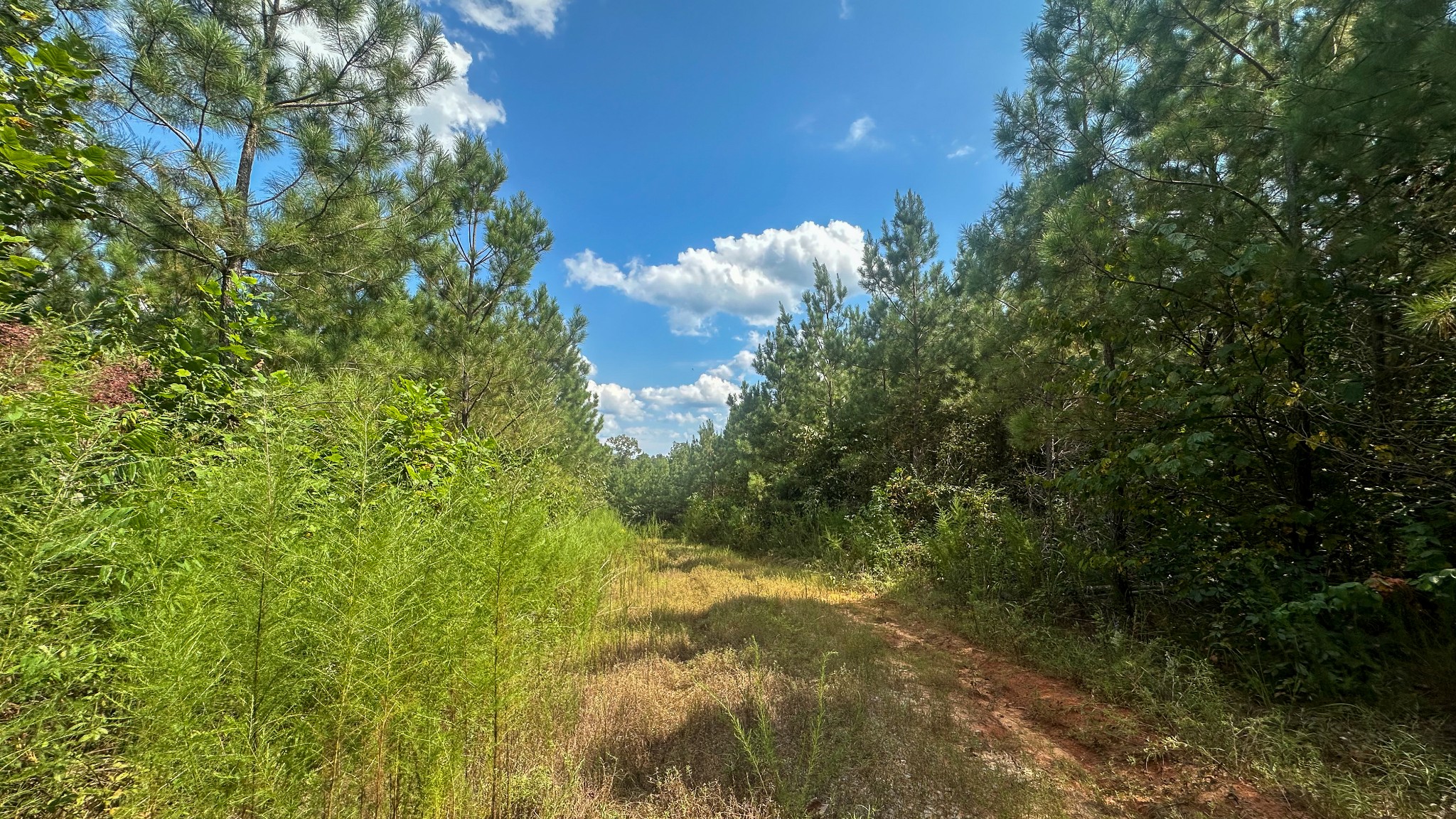 0 Jeannette Holladay Road Parsons TN 38363