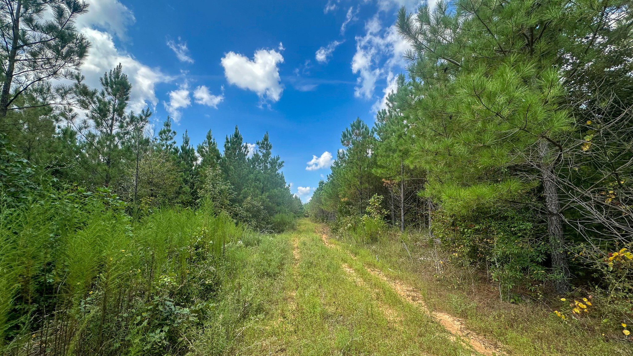 0 Jeannette Holladay Road Parsons TN 38363