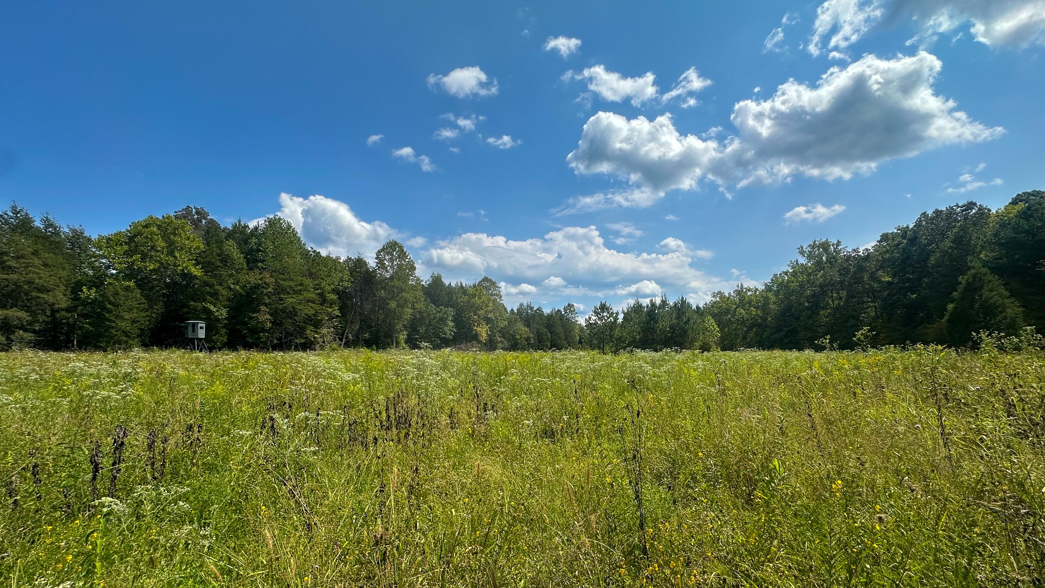 0 Jeannette Holladay Road Parsons TN 38363