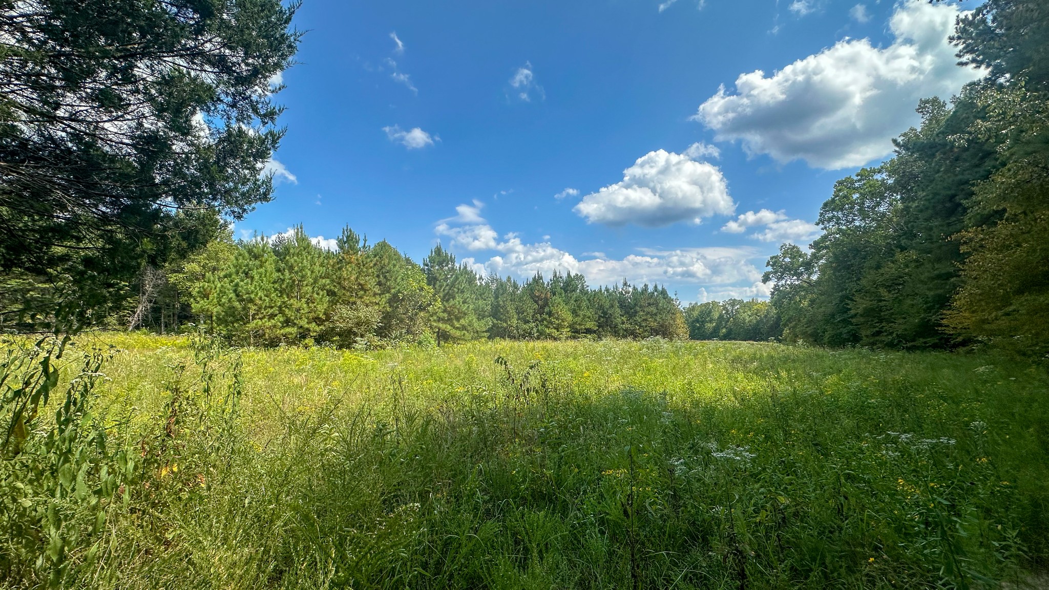 0 Jeannette Holladay Road Parsons TN 38363