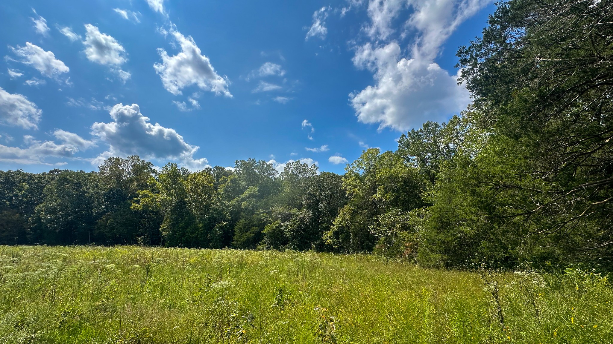 0 Jeannette Holladay Road Parsons TN 38363